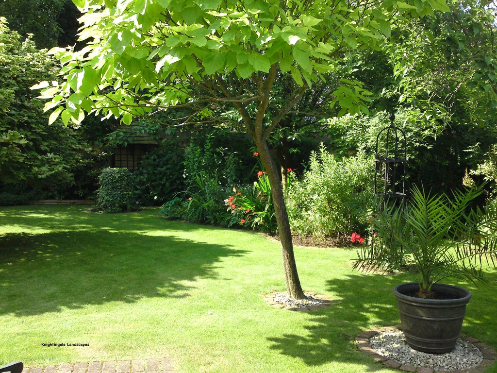 late summer planting